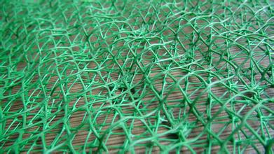 三維植被網(wǎng)